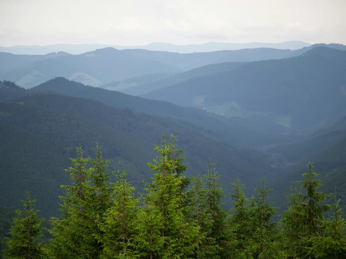 Smoky mountain homes and cabins in the service area